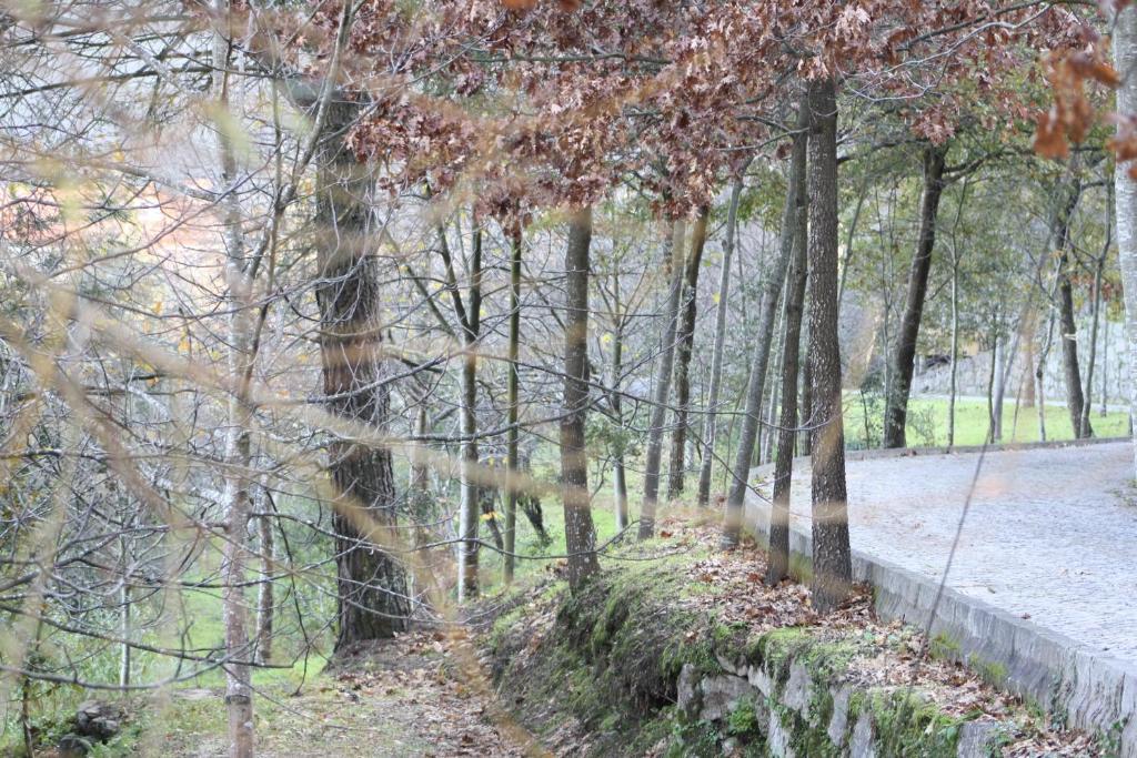 Quinta De Santa Cruz Canelas (Penafiel) Bagian luar foto